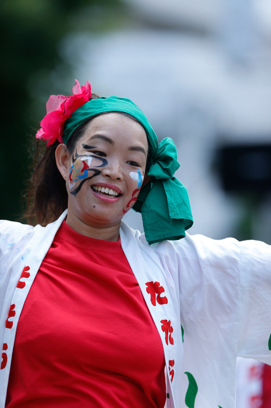 f:id:PageTAKA:20170806071650j:plain