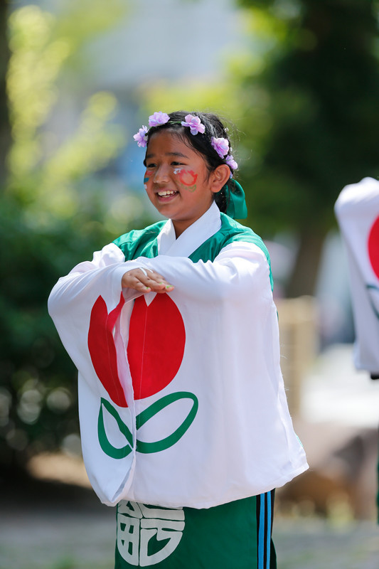 f:id:PageTAKA:20170806110654j:plain