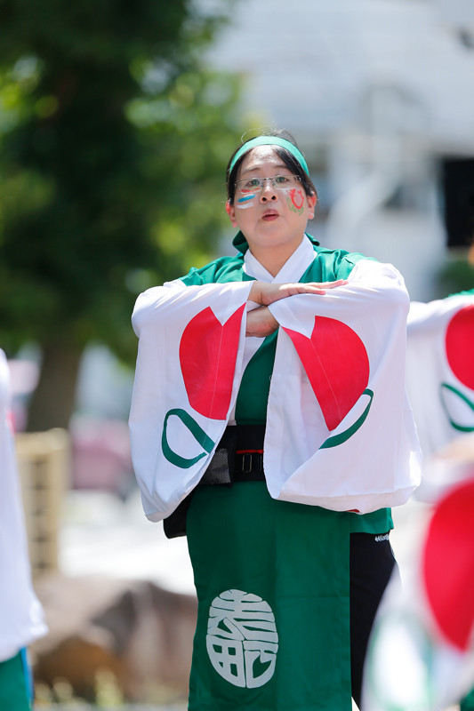 f:id:PageTAKA:20170806110658j:plain