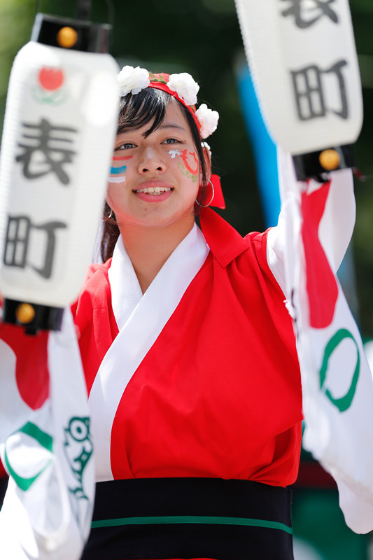 f:id:PageTAKA:20170806110707j:plain