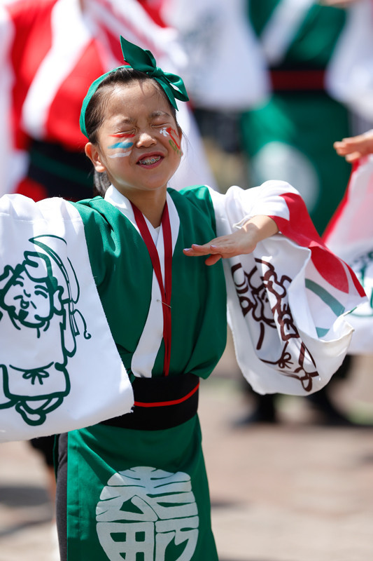 f:id:PageTAKA:20170806110729j:plain