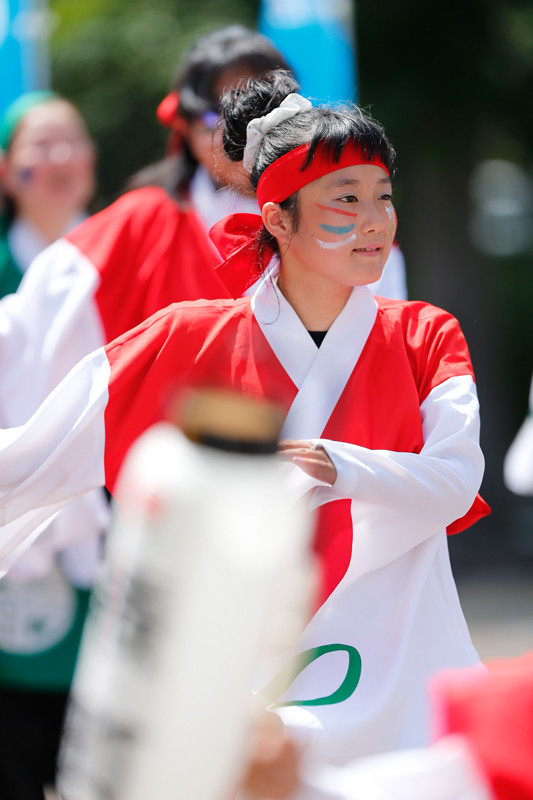 f:id:PageTAKA:20170806110802j:plain