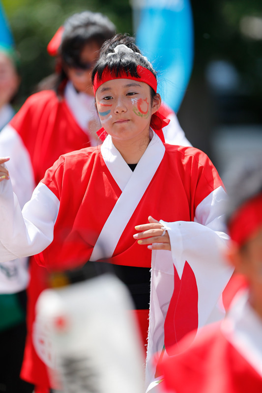 f:id:PageTAKA:20170806110806j:plain