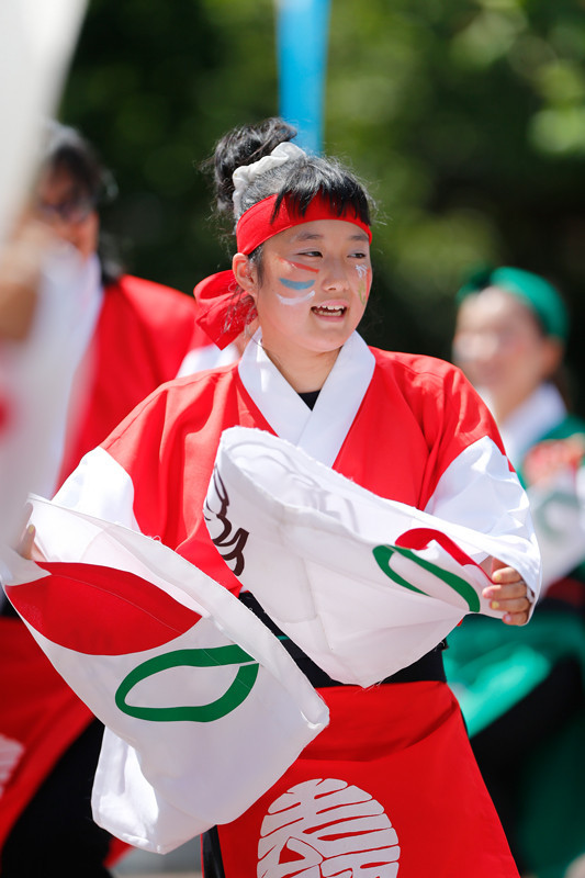 f:id:PageTAKA:20170806110835j:plain