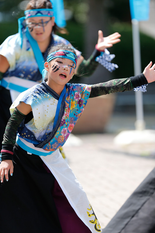 f:id:PageTAKA:20170806111739j:plain