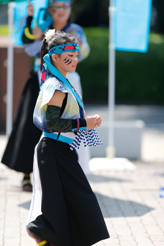 f:id:PageTAKA:20170806111831j:plain