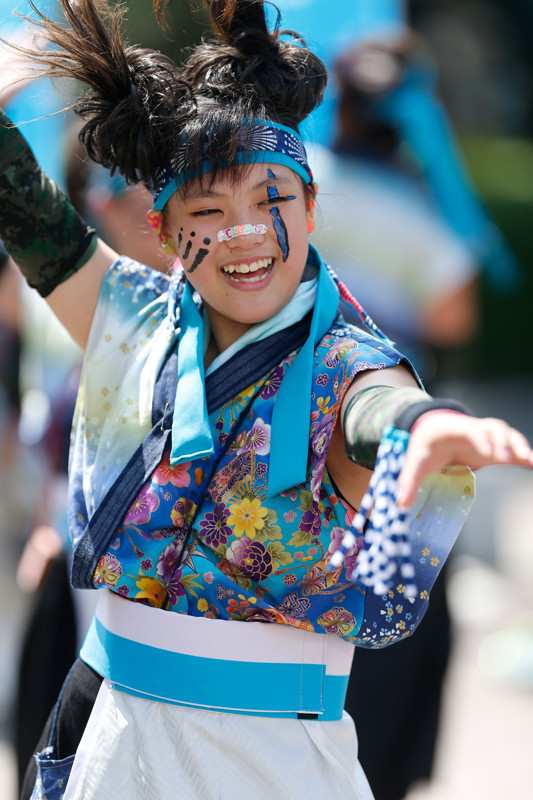 f:id:PageTAKA:20170806111843j:plain