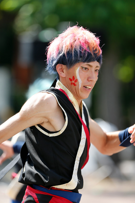 f:id:PageTAKA:20170806120048j:plain