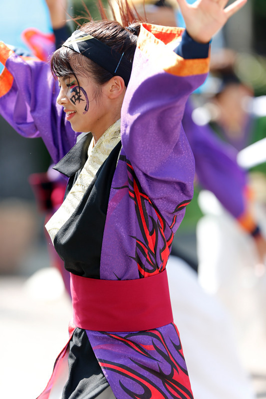 f:id:PageTAKA:20170806120151j:plain