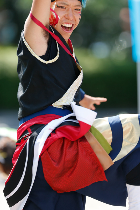 f:id:PageTAKA:20170806120211j:plain