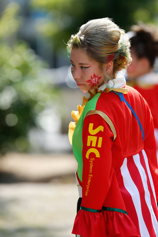 f:id:PageTAKA:20170806121529j:plain