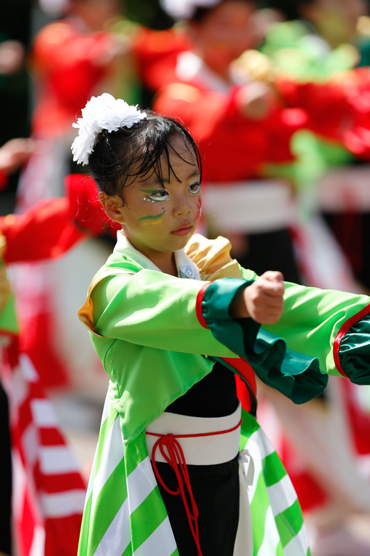 f:id:PageTAKA:20170806121533j:plain