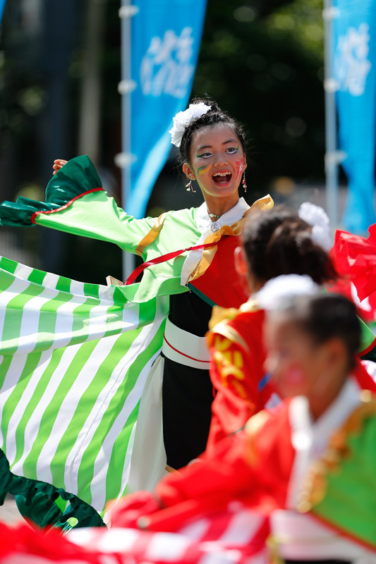 f:id:PageTAKA:20170806121538j:plain