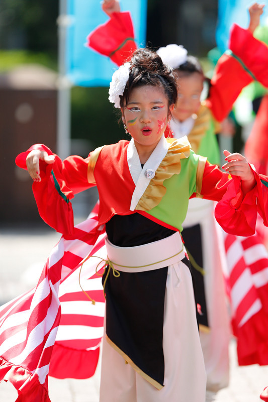 f:id:PageTAKA:20170806121552j:plain