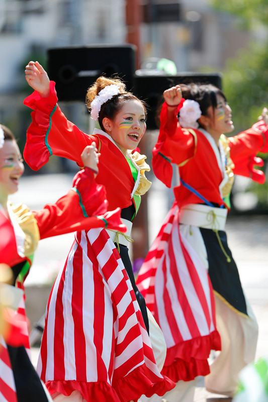 f:id:PageTAKA:20170806121630j:plain