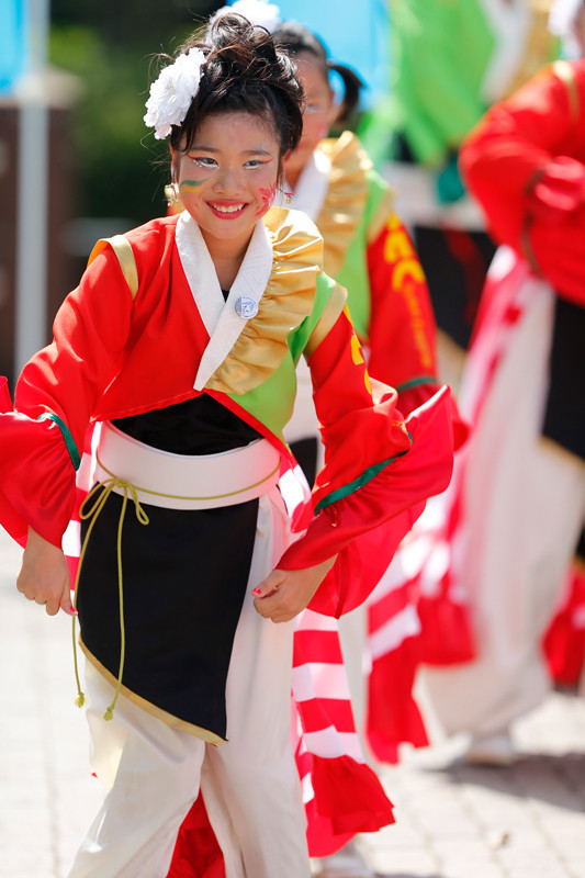 f:id:PageTAKA:20170806121634j:plain