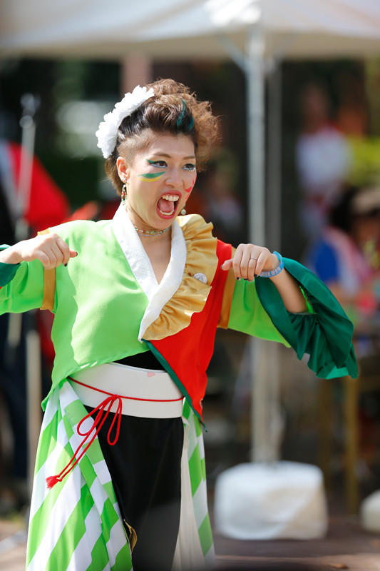 f:id:PageTAKA:20170806121646j:plain