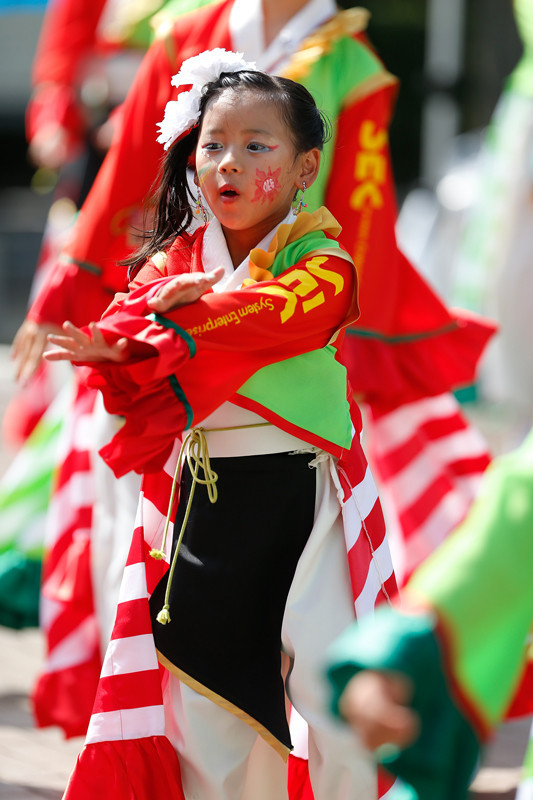 f:id:PageTAKA:20170806121655j:plain