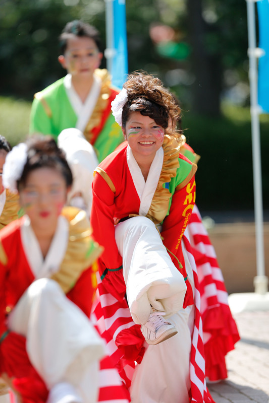 f:id:PageTAKA:20170806121703j:plain