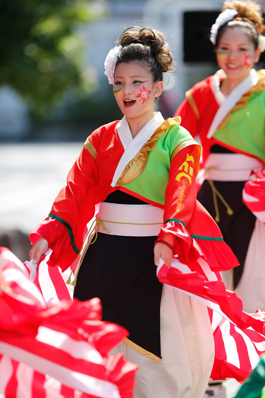 f:id:PageTAKA:20170806121711j:plain