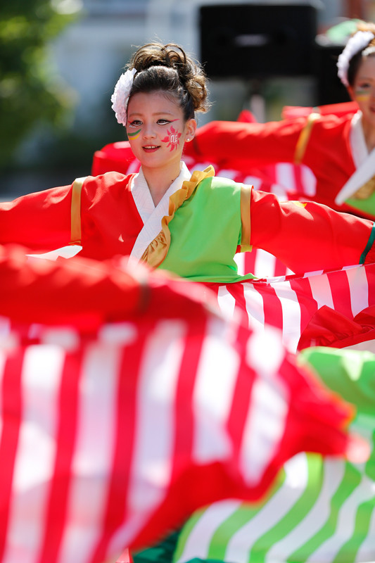 f:id:PageTAKA:20170806121723j:plain