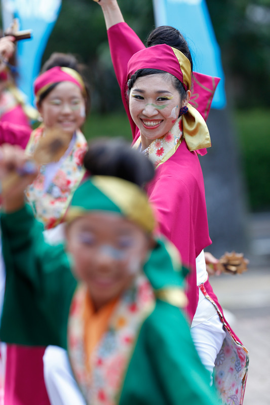 f:id:PageTAKA:20170806141109j:plain