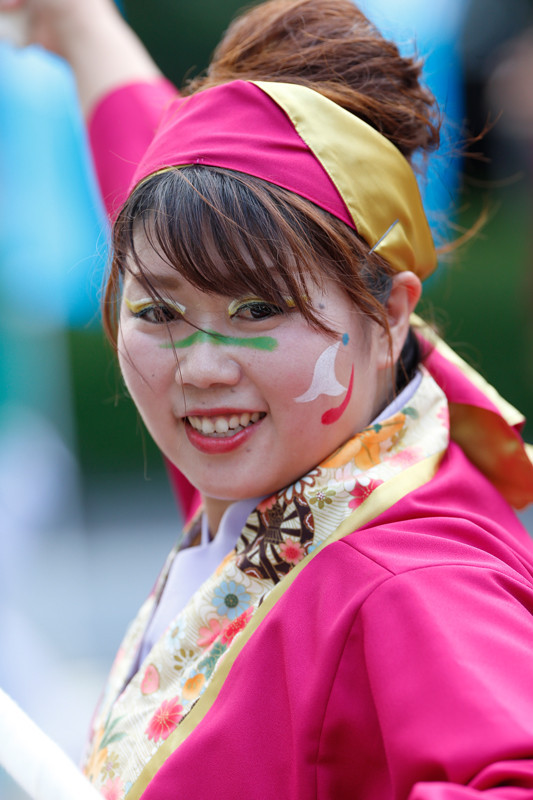 f:id:PageTAKA:20170806141133j:plain