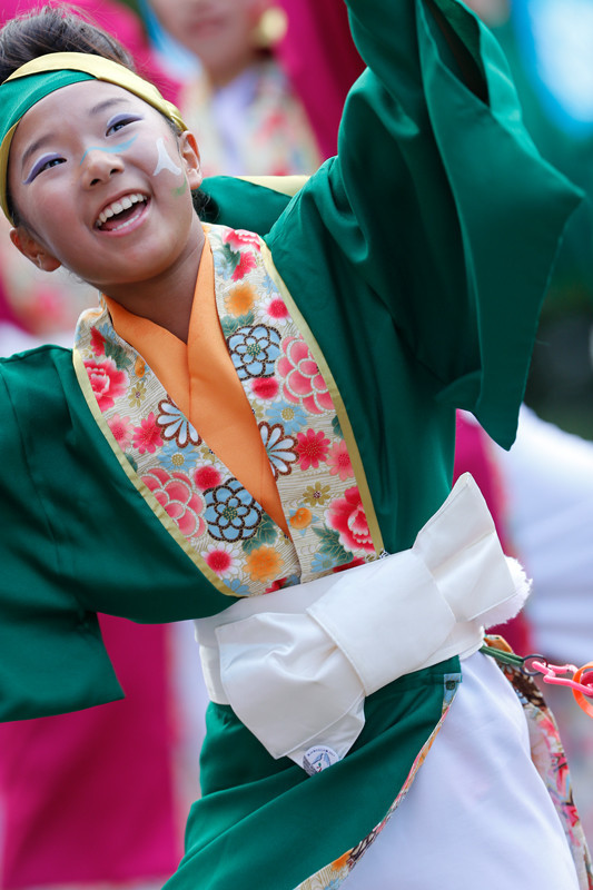 f:id:PageTAKA:20170806141258j:plain