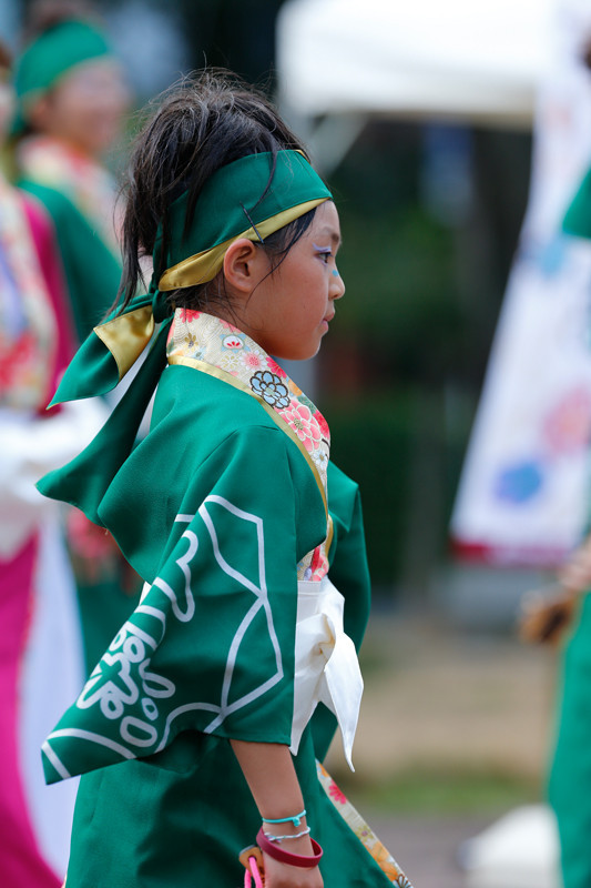 f:id:PageTAKA:20170806141308j:plain