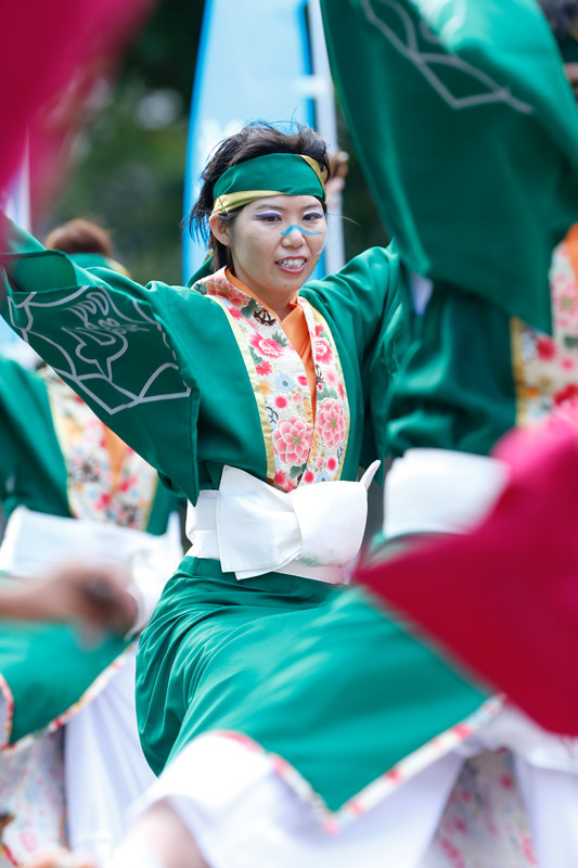 f:id:PageTAKA:20170806141326j:plain