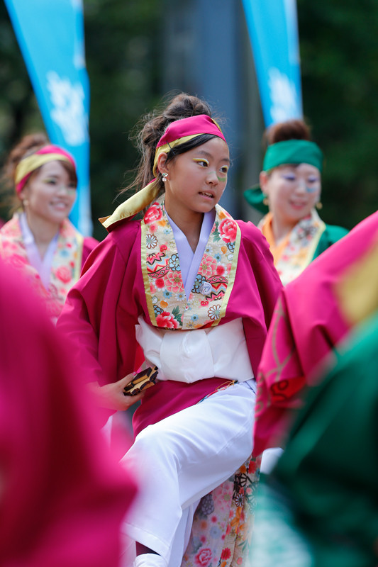 f:id:PageTAKA:20170806141346j:plain