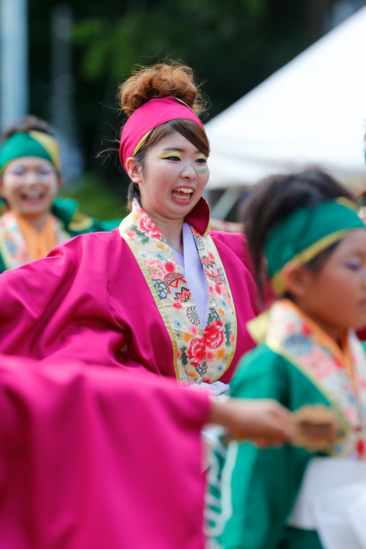 f:id:PageTAKA:20170806141408j:plain