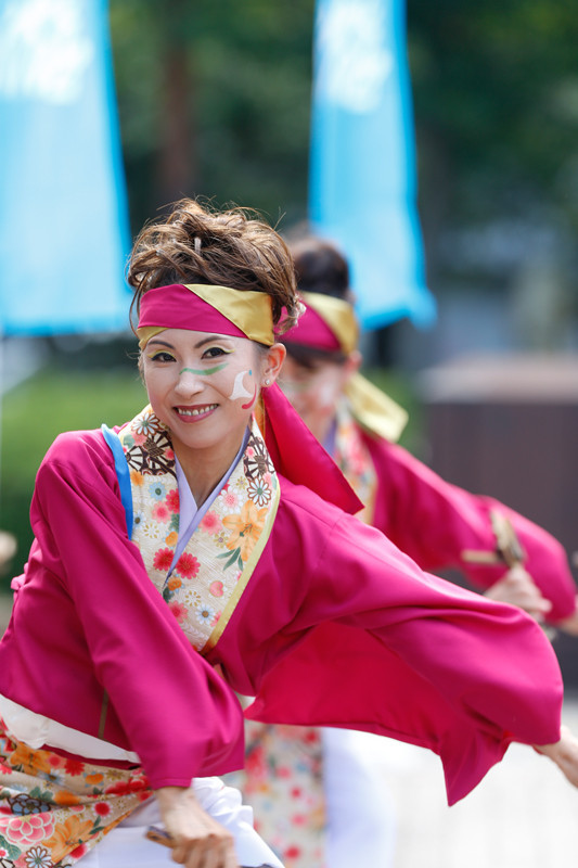 f:id:PageTAKA:20170806141432j:plain