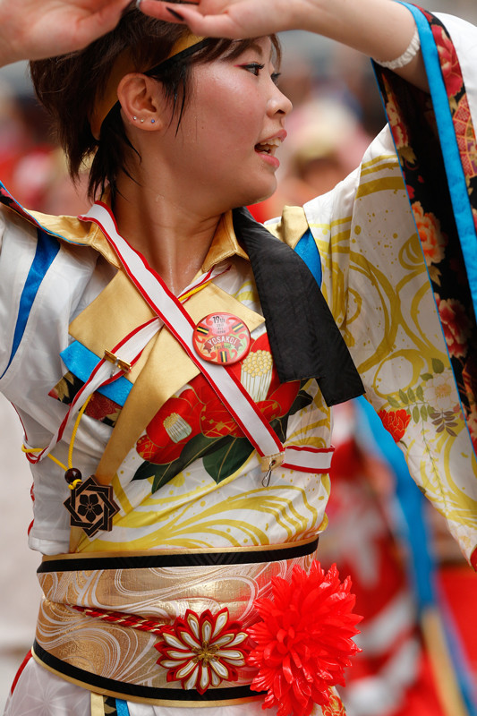 f:id:PageTAKA:20170813135818j:plain