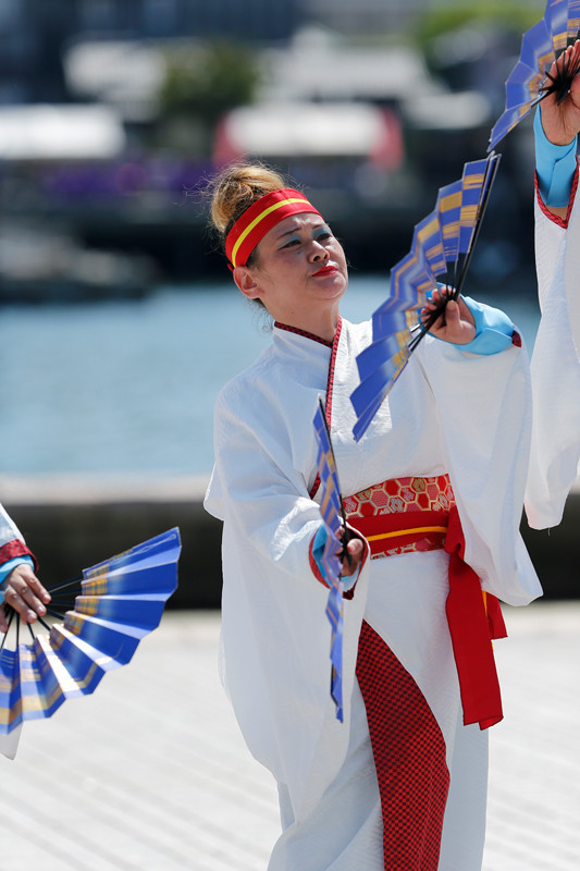 f:id:PageTAKA:20170822192146j:plain