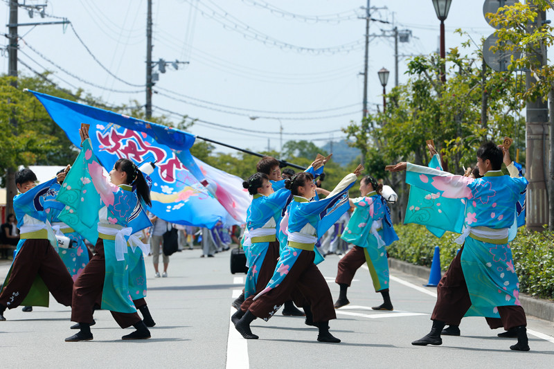 f:id:PageTAKA:20170823105613j:plain