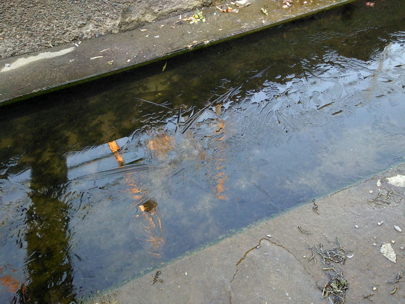 f:id:PageTAKA:20180208083436j:plain