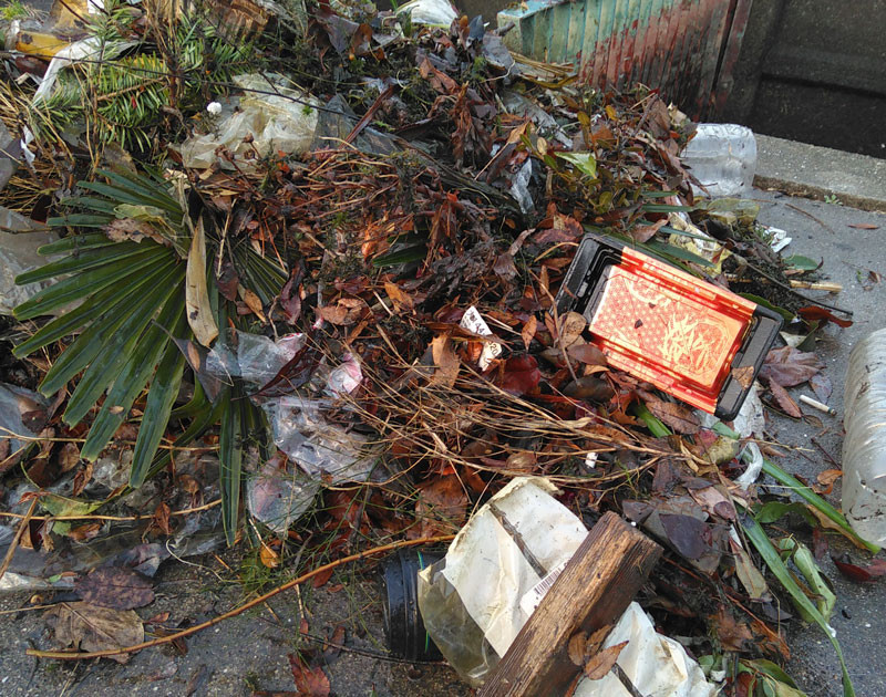 f:id:PageTAKA:20180211083446j:plain