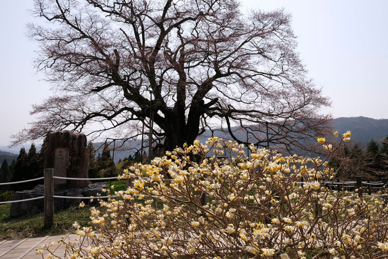 f:id:PageTAKA:20180330113814j:plain