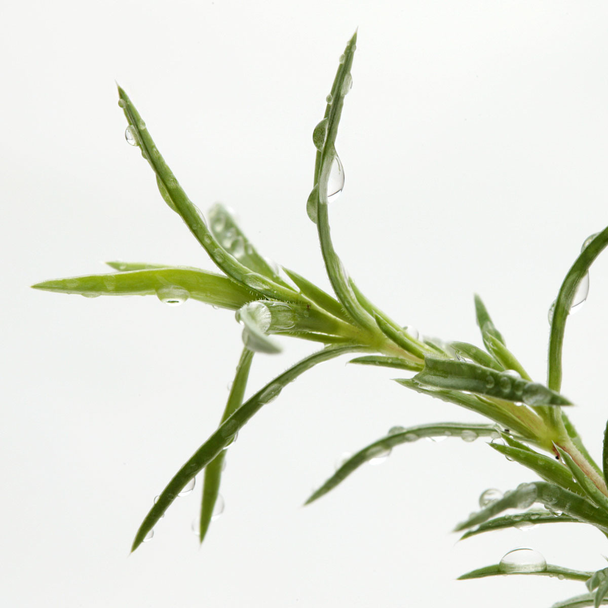 f:id:PageTAKA:20180911064559j:plain