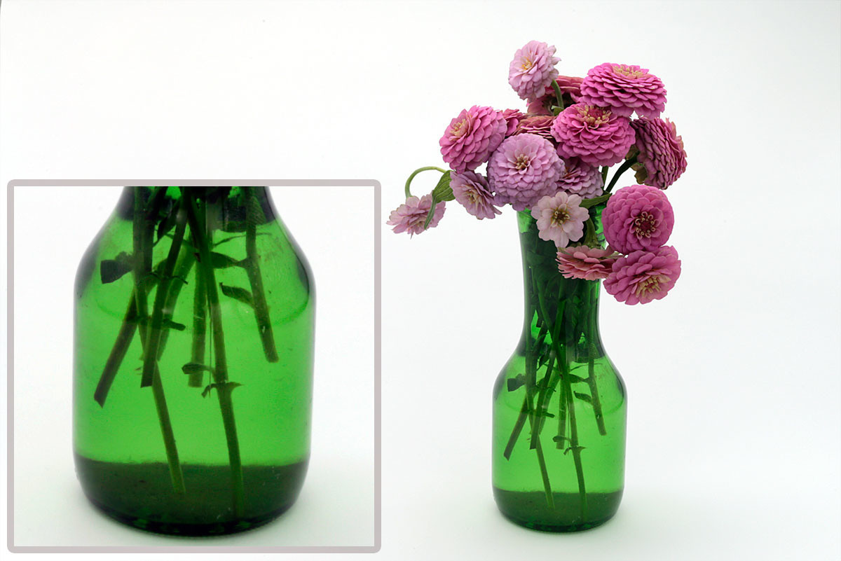 f:id:PageTAKA:20181001143446j:plain