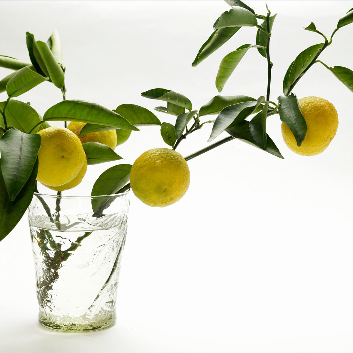 f:id:PageTAKA:20181106085750j:plain