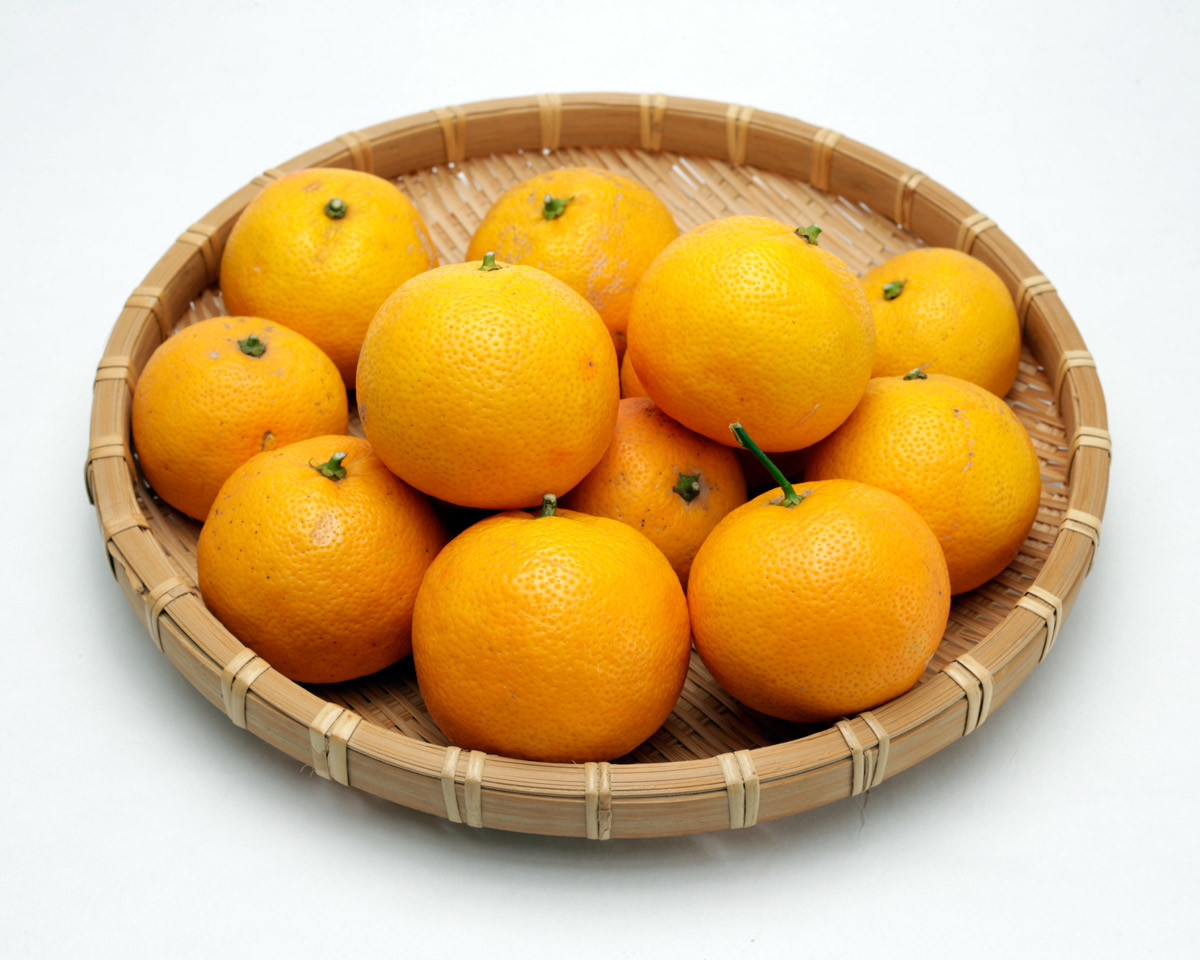 f:id:PageTAKA:20190109104238j:plain