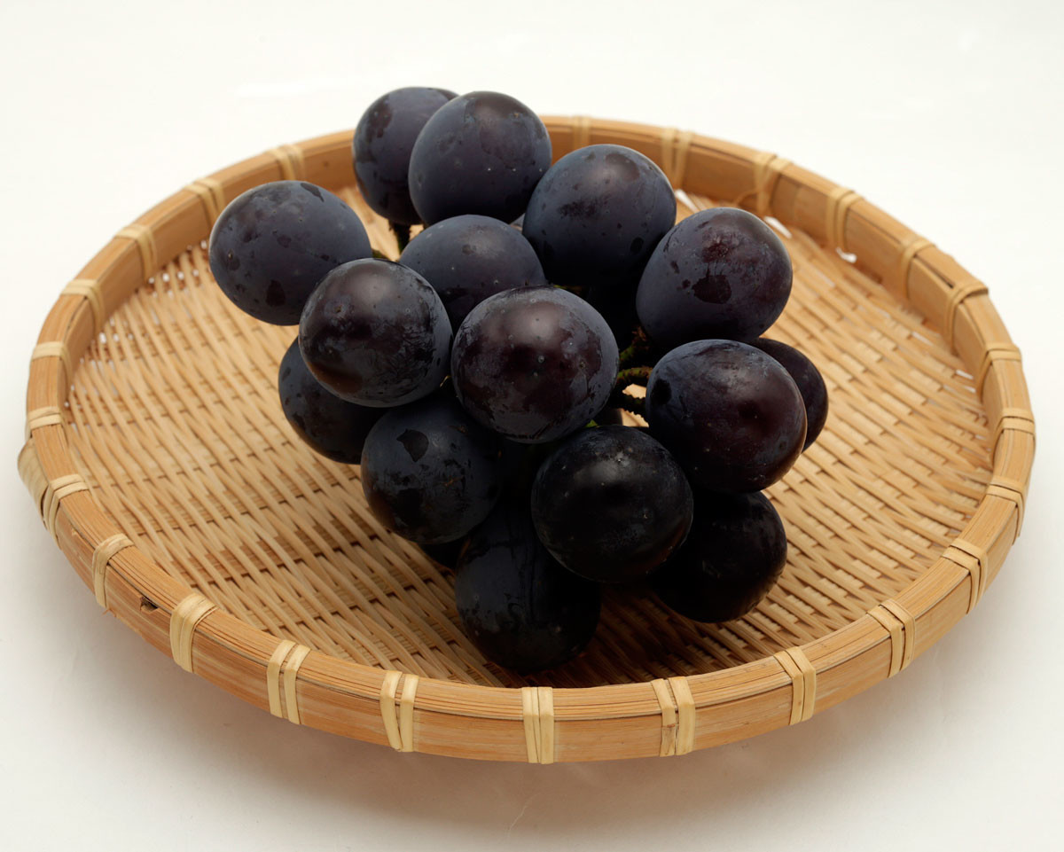 f:id:PageTAKA:20190905081045j:plain