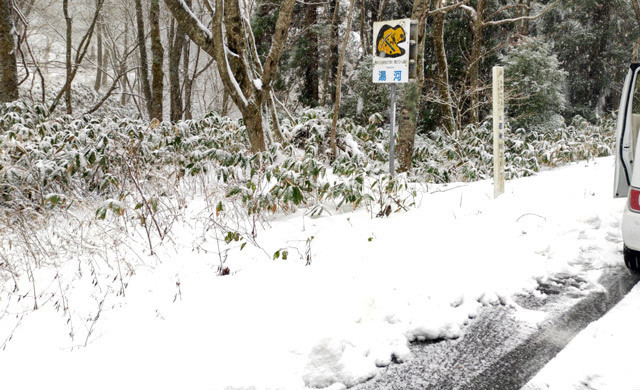 【17日午前：日南町上坂から湯河への峠、新見多里11号線】