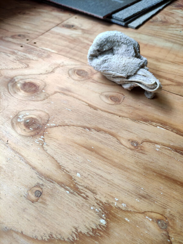 【白い点がカビ。雑巾で拭き取りました】