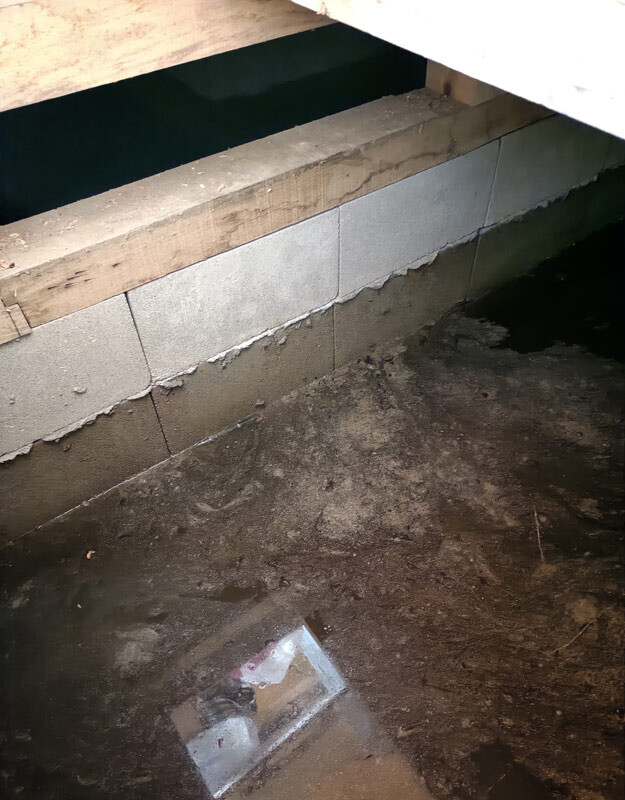 【４日・日南町：床下の水、久しぶりに見た水位でした】