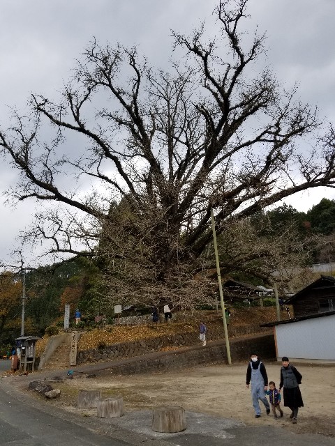 f:id:Pageoyaji:20201226180124j:image f:id:Pageoyaji:20201226180124j:image