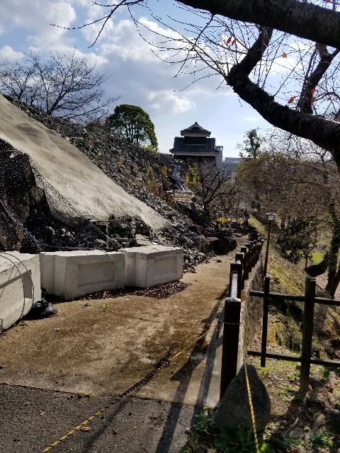 f:id:Pageoyaji:20201226181138j:image