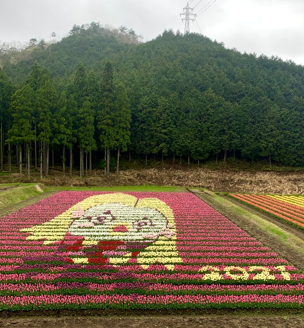 f:id:Pageoyaji:20210416072130j:image f:id:Pageoyaji:20210416072130j:image